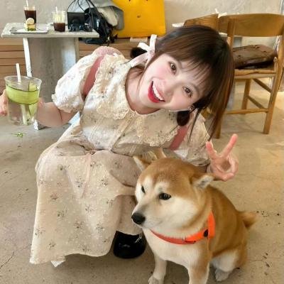 你被川普了